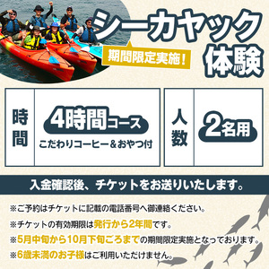 期間限定実施 シーカヤック体験チケット(4時間/2名) 阿久根 シーカヤック アウトドア アクティビティ 自然 体験 ツアー チケット マリンスポーツ【パズル】akn098-06