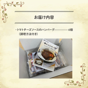 ハンバーグ トマト チーズ ソース 6食 入り ハンバーグ