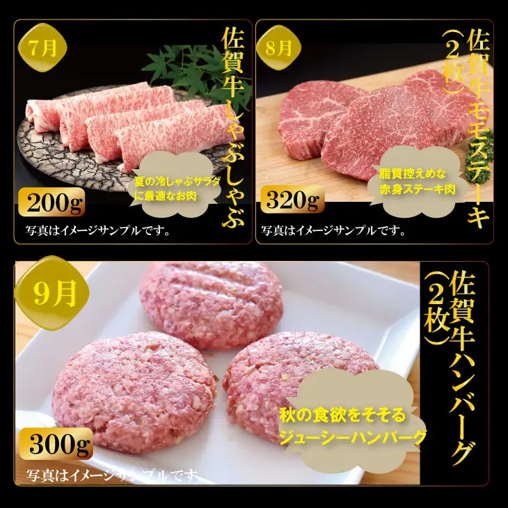 【定期便】 (連続12回) 佐賀牛 やまとフーズ 単身・おひとり様用 Q144-002