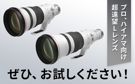 キヤノン RF600mm F4L IS USM 〈Lレンズ〉〈蛍石搭載〉《180日以内に出荷予定(土日祝除く)》 Canon 茨城県 結城市 カメラレンズ