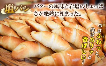 【全2回定期便】壱岐牛カレーパン詰め合わせパック 《壱岐市》【パンプラス】詰め合わせ セット  カレーパン 塩パン [JEU018]