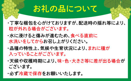 【2026年発送分 先行予約】シャインマスカット 計1.4kg（2房入り） / 佐賀県 / 石橋果樹園 [41AAAJ001]