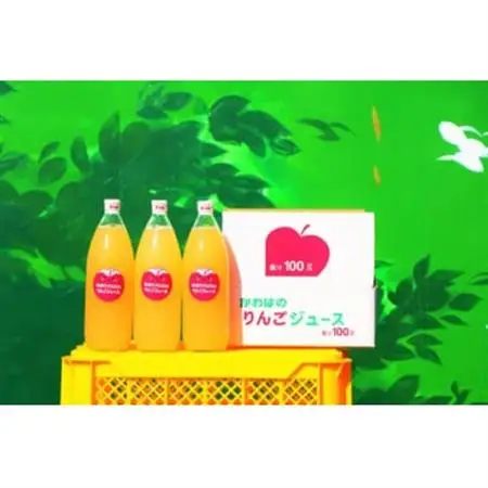 【川場村直送】ストレートりんごジュース1000ml×3本入り_飲料・ドリンク りんごジュース 果汁飲料 林檎ジュース アップルジュース リンゴジュース_【1492868】