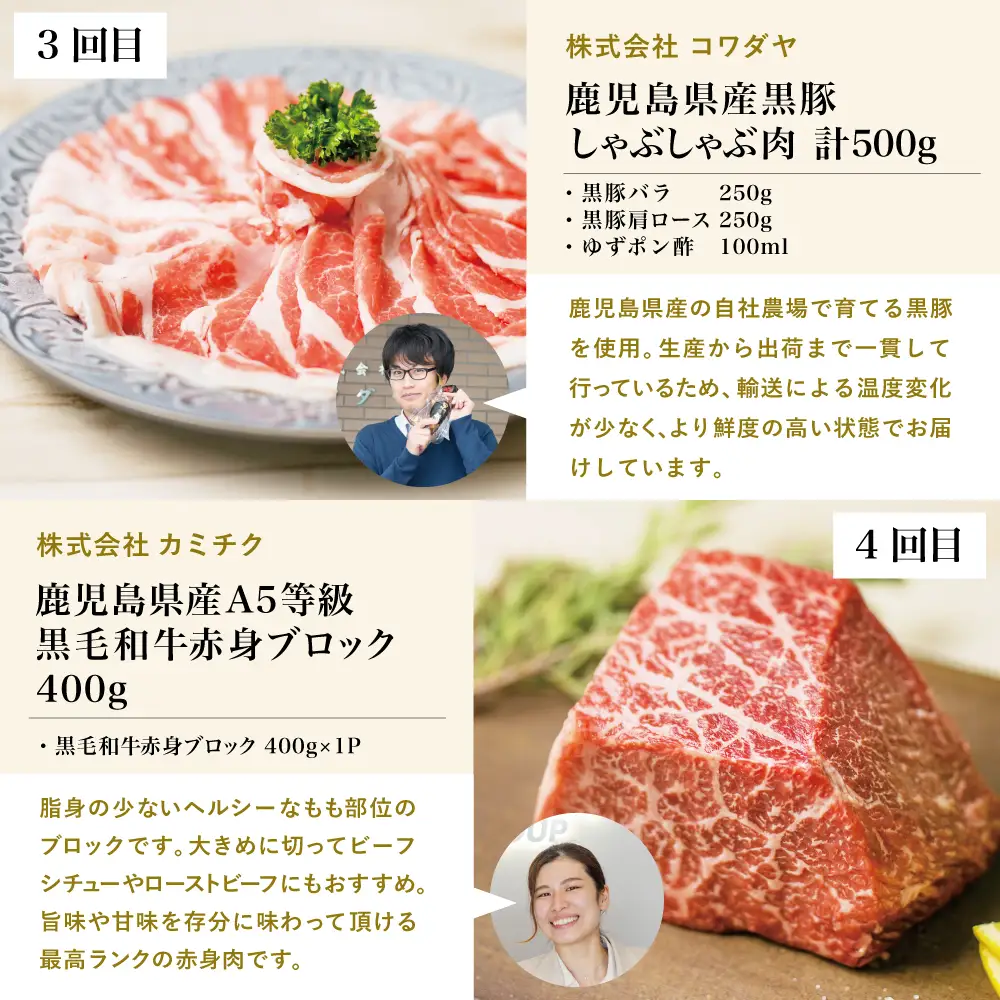 【お試し版】オールスター厳選お肉定期便（全5回） 牛肉 豚肉 すき焼き しゃぶしゃぶ 赤身 焼肉 冷凍 定期便 鹿児島 南さつま市