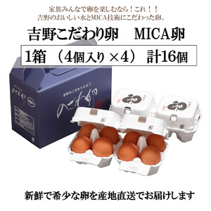 こだわり のざわ卵 16個 【田原本町×吉野町共通返礼品】 ／ 野澤養鶏 おいしい たまご 玉子 生卵 鶏卵 濃厚 奈良県鶏卵品評会最優秀賞受賞 奈良県