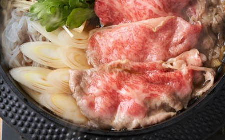 【お肉定期便】【厳選部位】【しゃぶしゃぶすき焼き用】博多和牛サーロイン3回定期便（500g×3回）計1.5kg[H0100T3]