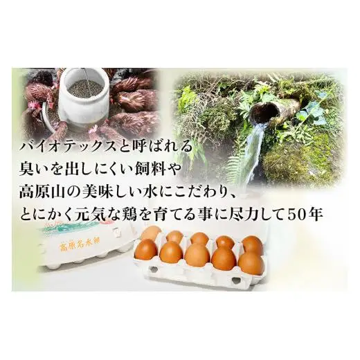 【定期便6回】高原名水 卵 30個｜豊かな自然で育ったアスタキサンチン含有の高原名水卵【感動の甘さと濃さ】栃木県 矢板市
