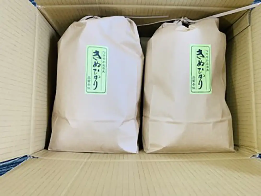 令和7年産 近江米 キヌヒカリ 10kg ( 5kg × 2袋 ) 環境こだわり米【AB63W】 白米 きぬひかり