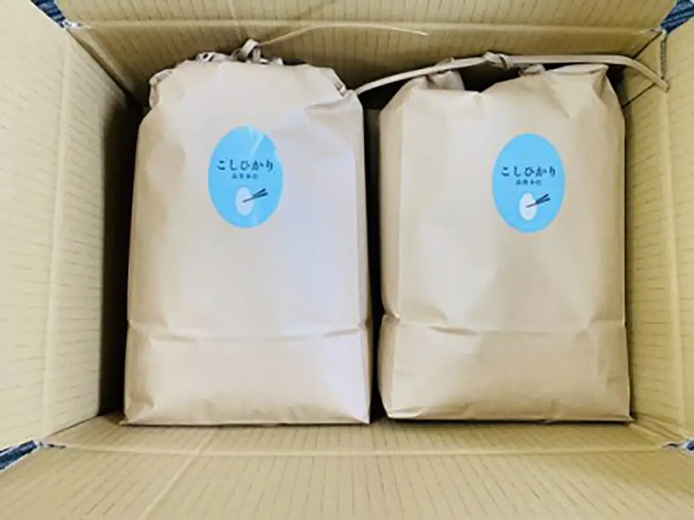 令和7年産 コシヒカリ 10kg ( 5kg × 2袋 ) 環境こだわり米 【AB62W】 白米 近江米 こしひかり