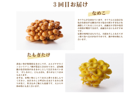 【3回定期便】オーガニックきのこ 5種 定期便