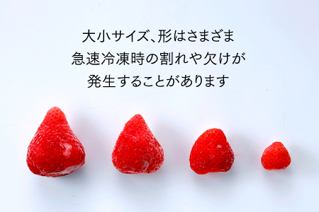 A1472.【期間限定！！】冷凍あまおう(いちご)約2kg