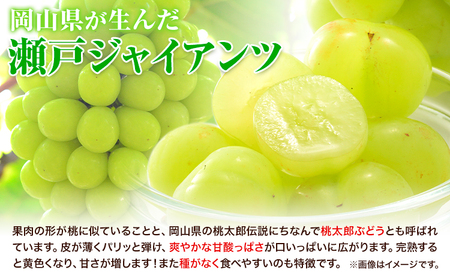 【2回定期便】たたらみねらる 食べ比べセット 各2房 マスカット 瀬戸ジャイアンツ