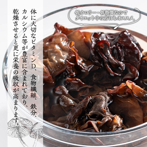 きのこ 国産 きくらげ(計120g・3袋)【九南サービス(タマチャンショップ)】A501