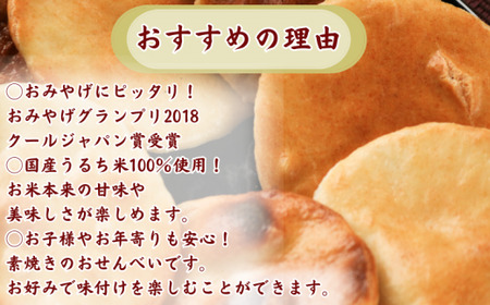プレーン かんたん 手焼きせんべい の 素 10枚 5袋入 詰め合わせ セット