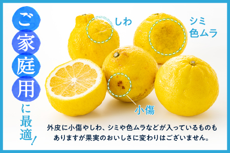 AA090.福岡柑橘王国・はるか／約5kg(2027年1月末～2月末発送予定)