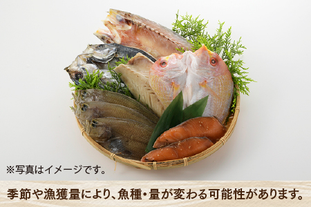 AC064.進藤商店一夜干しセット