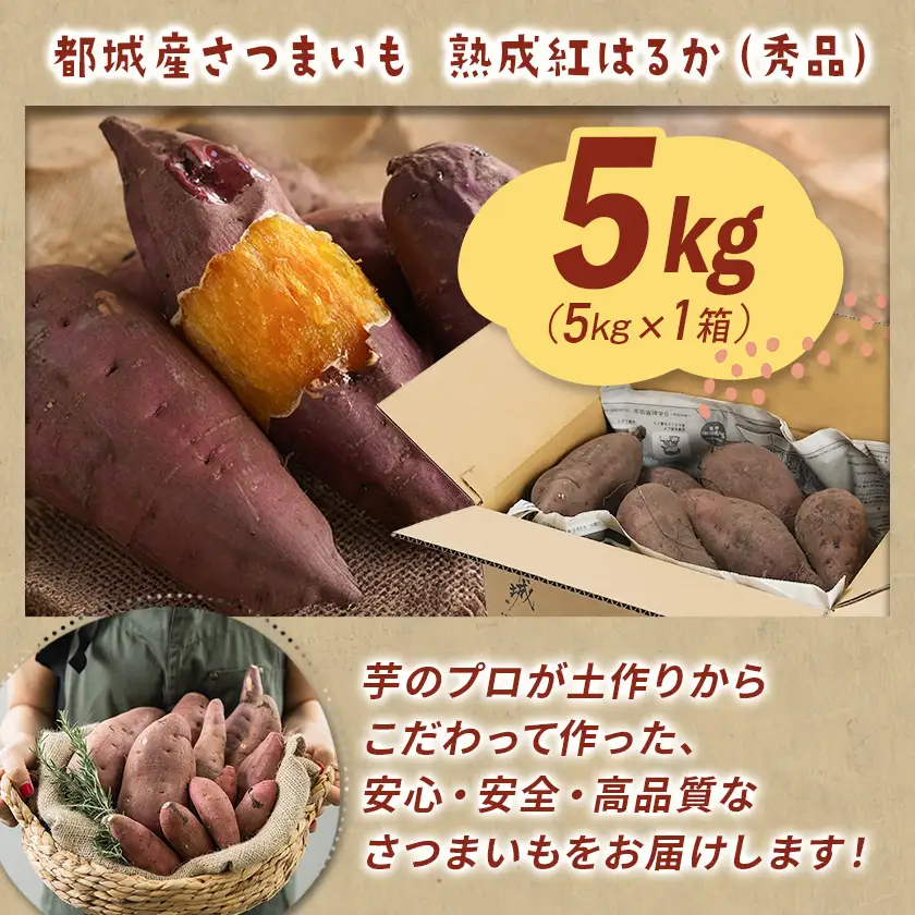 【先行受付】都城産 長期熟成紅はるか 5kg≪2026年10月下旬頃より順次お届け≫〔AA-I2-001-5kg-10〕_(都城市) 都城産さつまいも 熟成紅はるか 5kg 長期熟成 スイーツ