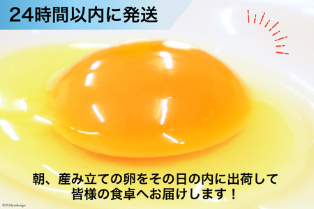 BI050 6回 定期便 どっさり！ 雲仙たまごMサイズ 180個(170個＋割れ補償10個入り) [長崎県 島原市]