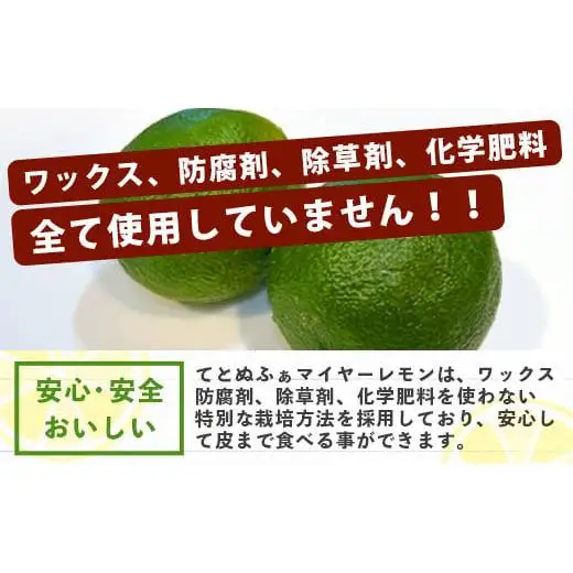 【先行予約】こだわりの青切りマイヤーレモン 約1kg (6～9個) 