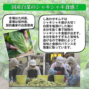 ふくつの母心の「こどもキムチ」200g×8袋　計1.6kg[H4431]