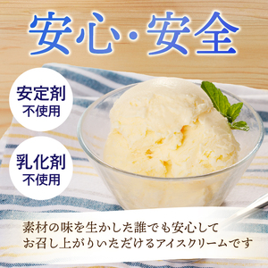 清泉寮ジャージーアイスクリーム　120ml×8個　ジャージー生乳 プレミアム アイス 素材の味 安定剤不使用 乳化剤不使用 清泉寮 清里高原 有機 山梨県 北杜市産 人気 バレンタイン チョコ以外 ホワイトデー お返し  [h041]