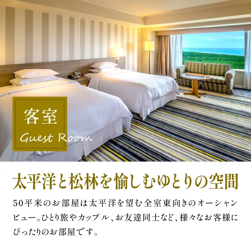 《2026年11月発券》【1泊お食事なし】ペア宿泊券　スタンダードツイン(50平方メートル) 宿泊 家族 カップル