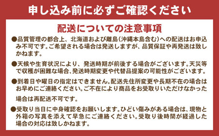 ※【2026年9月より順次発送／先行予約】【ご家庭用】シャインマスカット 約1.3kg(2房から3房) / フルーツ 果物 ぶどう マスカット シャインマスカット しゃいんますかっと / 諫早市 / 肥前グローカル株式会社 [AHDI007]