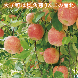 斉藤りんご園の奥久慈りんごジュース（ストレート）1000ml×2本セット（化粧箱入り）｜りんご リンゴ 林檎 リンゴジュース りんごジュース ジュース フルーツ 果物 セット ギフト 贈り物 化粧箱 奥久慈りんご 茨城県 大子町(CG004)