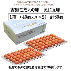 吉野 MICA卵 Lサイズ 80個 （72個＋割れ保証8個） 【田原本町×吉野町共通返礼品】 ／ 野澤養鶏 おいしい たまご 玉子 生卵 鶏卵 濃厚 奈良県鶏卵品評会最優秀賞受賞 奈良県