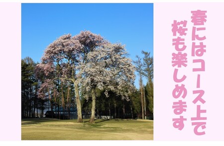 【030-19】信州伊那国際ゴルフクラブ　ゴルフ場利用補助券