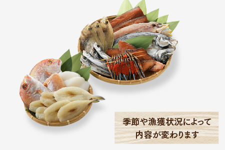 BI019.【大満足】進藤商店一夜干しセット（極）