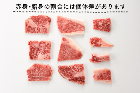 C112.A5ランク博多和牛カルビ（焼肉用）400g