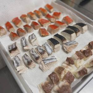 魚　フレークセット