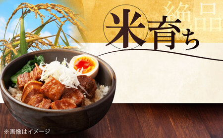 【全2回定期便】平田牧場 肩ロース ブロック 600g 豚肉 煮豚 [AJAP110]