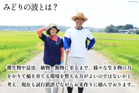 【期間限定発送】 米 令和7年 ひゃくまん穀 精米 5kg [みどりの波 石川県 宝達志水町 38601255]