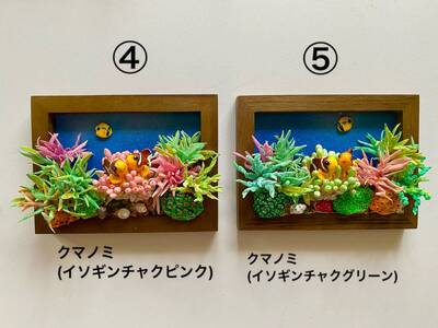 クマノミ各種　フレーム  /  魚 さかな フィッシュ 釣り 海 うみ クマノミ 海水魚 海の生き物 鍵 かぎ 家 車 自転車 かわいい お土産 雑貨 思い出 プレゼント ギフト すさみ 【mac007A】
