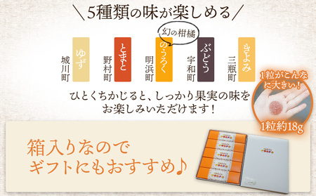 ＜果汁たっぷり！西予の美味しいが詰まったせいよぐみ 10粒（5種類各2粒×1箱）＞ お菓子 デザート スイーツ グミ 洋菓子 おやつ 特産品 ゆず トマト のうろく ブドウ きよみ スイーツ工房絹 愛媛県 西予市【常温】『1か月以内に順次出荷予定』NSK0005