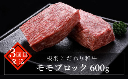 5セット限定！★定期便 全4回★ 長野県根羽村 人気4品！定期便 切り落とし カタロース 焼肉 サーロインステーキ ロースステーキ ステーキ 限定 定期便 人気 4回