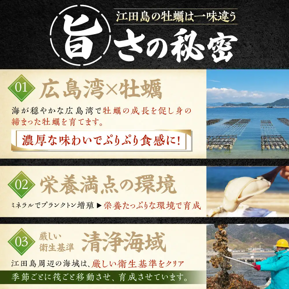 冷凍牡蠣 カキフライ20個 牡蠣[XAO034]