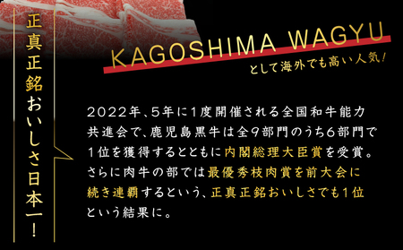 鹿児島県産 黒毛和牛スライス（ブリスケット）500g K151-001 肉 牛肉 冷凍