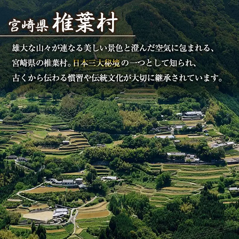 宮崎県産 はちみつ 「椎葉の秘蜜」 小 50g瓶 1個