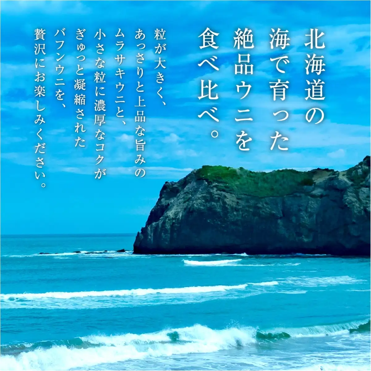 幸福雲丹160gセット(ムラサキ80g・バフン80g 北海道産)_Y038-0127
