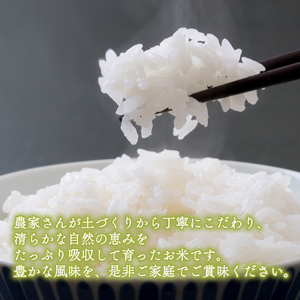 【パックご飯】京都府産キヌヒカリ パックご飯 300g×6個 龍の森