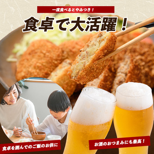 お肉屋さんのコロッケ20個とメンチカツ5個セット てぞの精肉店 IB076-001 惣菜 惣菜