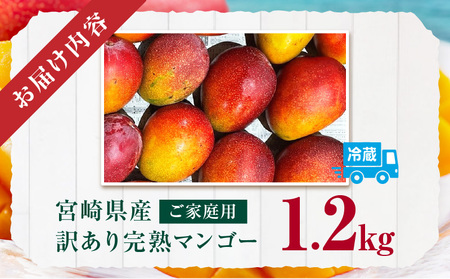 マンゴー 訳あり 宮崎 マンゴー[完熟 1.2kg]
