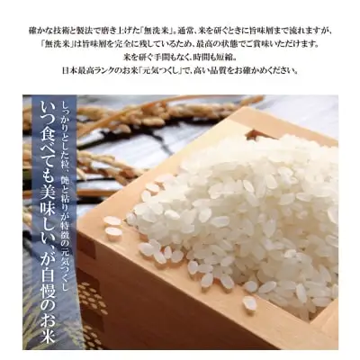 Y17-21 令和7年産 無洗米 元気つくし5kg