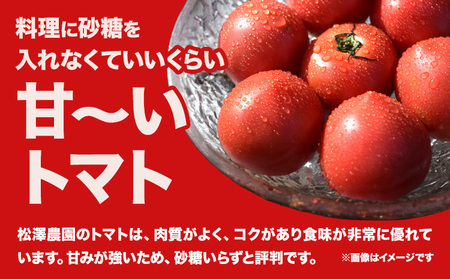 大玉トマト4kg (18-24玉) 松澤農園  岩手県 九戸村 
