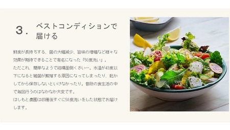 伊勢ノ国のがぶっと野菜玉手箱　：　隔週1回定期便（大人4人1週間分）26回【26-2】