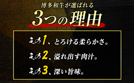 博多和牛サーロインステーキセット 1kg 250g×4枚 株式会社MEAT PLUS《30日以内に出荷予定(土日祝除く)》福岡県 鞍手郡 小竹町 博多和牛 和牛 牛肉 サーロイン ステーキ サーロインステーキ