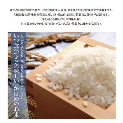 Y17-22 令和7年産 無洗米 元気つくし10kg